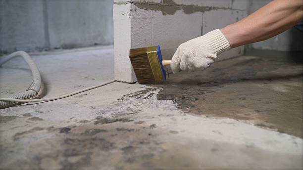 24/7 Emergency Wet Basement Repair experts in Somerset Center, MI
